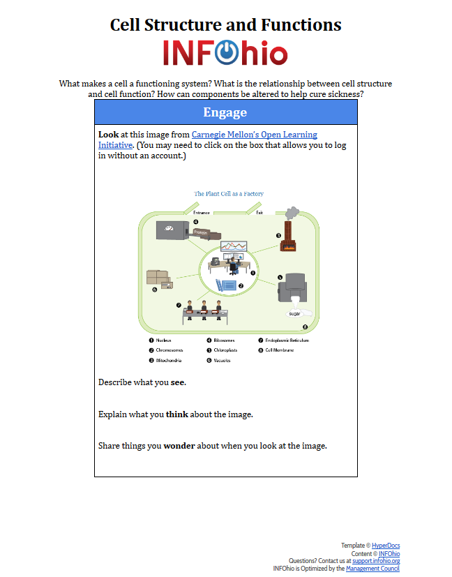 Biology Cell Structure And Functions Hyperdoc Lesson Plan